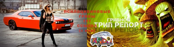 гидра Аркадак